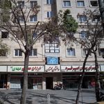دکتر توحید هاشم زاده