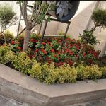 خدمات باغبانی هرسکاری گلکاری متخصص خاک
