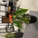 آژانس تبلیغاتی اثر