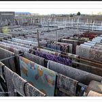 قالیشویی سینا