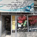 تایپ و تکثیر یگانه