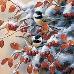 آموزشگاه نقاشی کلبه شیشه ای