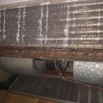 رحیم احمدزاده