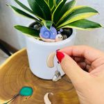 کلینیک شنوایی سنجی و سمعک کیمیا (چیتگر)