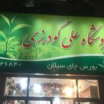 خوار و بار فروشی علی گودرزی