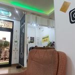 پیست کارتینگ حمیدی