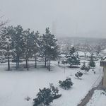 پارک هما