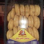 کارخانه پانیذماداکتو لرستان