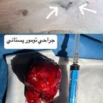 کلینیک دامپزشکی دکتر نیک پنجه