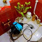 لوله بازکنی صداقت