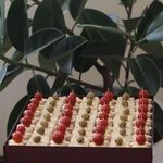 فینگر فود Finger_delicious