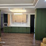 ام . دی .اف فرجی