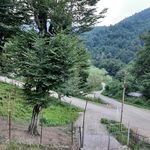کلبه چوبی ماسال مهدی