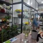 گلسرای ساحل گلفروشی