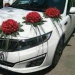 گلفروشی بهاره