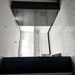 ام . دی .اف فرجی