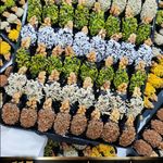 خرما و حلوا آردین گندم آوا