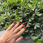 سالن زیبایی دلین(تخفیف مراجعه اول)✨