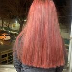 سالن زیبایی دلین(تخفیف مراجعه اول)✨