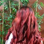 سالن زیبایی دلین(تخفیف مراجعه اول)✨