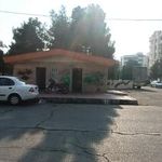 سرویس بهداشتی