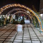 رستوران سنتی الماس شهر مید