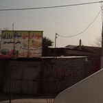 عرضه مستقیم میوه و تره بار (عمده و خرده)