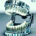 دندانسازی..پروتزیست اسماعیل فرجامی