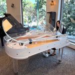 پانيذ قادري مدرس پيانو