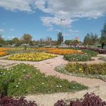 باغ گل محلاتی