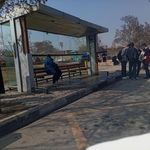 مجتمع نان صبا