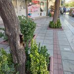 داروخانه بامداد