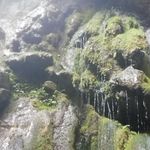 کافه و دیزی سرای پوریا