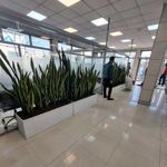 گروه املاک بزرگ قصر بنیتا