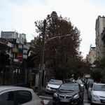 دکتر سید جلیل حسینی