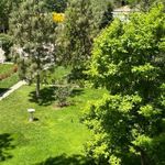 بوستان شقایق