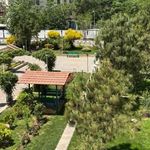 بوستان شقایق