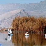 دریاچه پریشان (فامور)