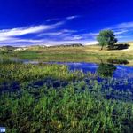 دریاچه پریشان (فامور)