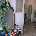 مهمانپذیر کرگدن