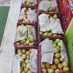 ننه آقا شهرری(فداییان اسلام)