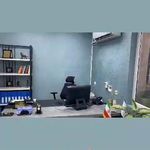 فروشگاه کاغذ دیواری و کفپوش رونیا