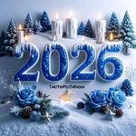 کلاب بوکس شاهین