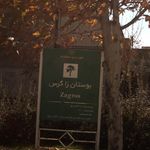 بوستان زاگرس