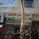 لبنیات سنتی گلپایگان