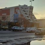 نیلوفر سفید