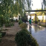 ساخت و ساز صلح جوی