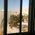 محسن قلندری