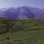 جواهر دشت