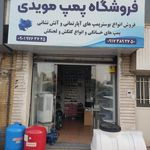 دنياي قفسه شيراز